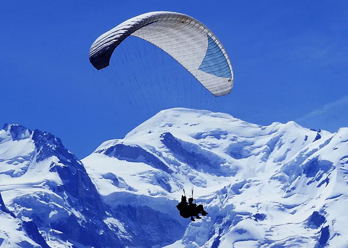 알피나 에클렉틱 샤모니