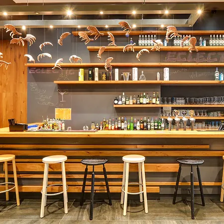 阿尔皮纳埃克莱克蒂克酒店 4* 霞慕尼