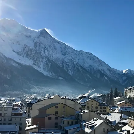 阿尔皮纳埃克莱克蒂克酒店 霞慕尼