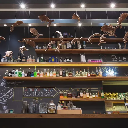 酒店 阿尔皮纳埃克莱克蒂克酒店 霞慕尼